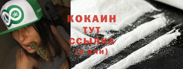 соль ск Богданович