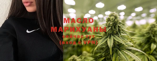 соль ск Богданович