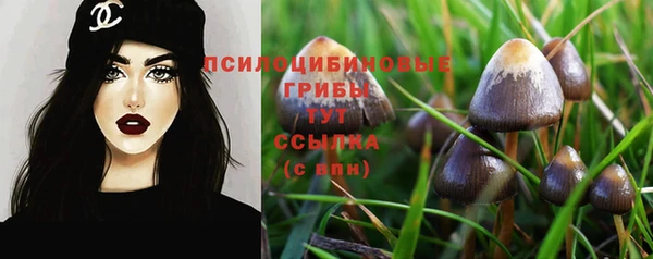 спиды Богородск