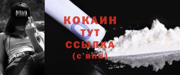 спиды Богородск