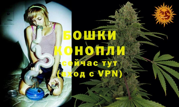 спиды Богородск