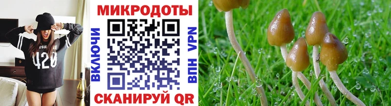 Купить закладки  Болхов  Псилоцибиновые грибы ЛСД 